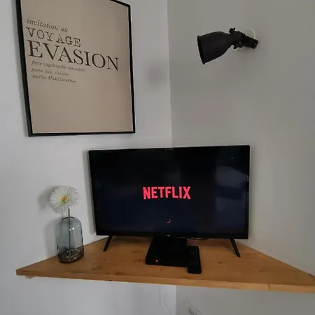 Jungle - - Netflix Apartment *