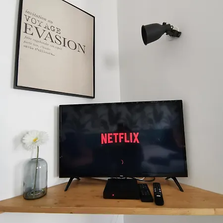 Apartment Jungle - - Netflix Gex