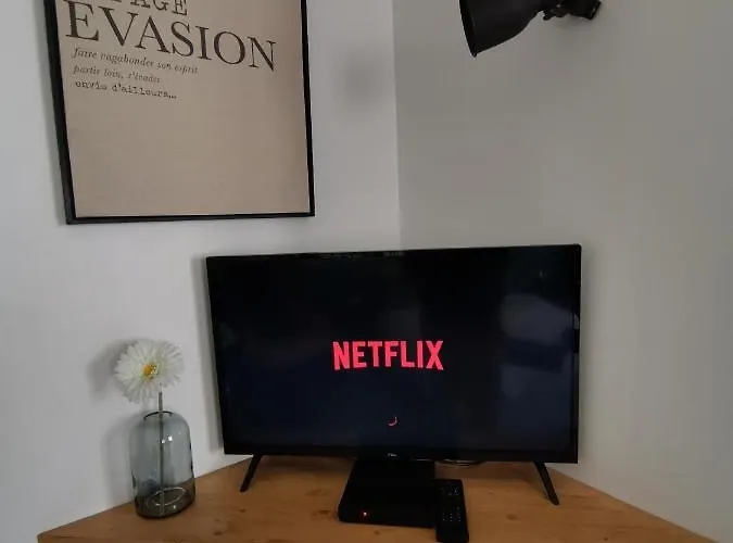 Jungle - - Netflix Apartment *