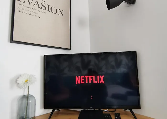 Apartment Jungle - - Netflix Gex